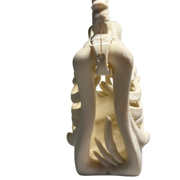 Skeleton Ribcage Handbag - Picture 4 of 5